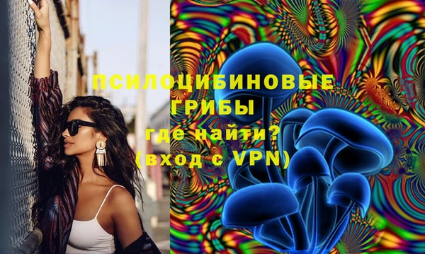 спайс Абаза